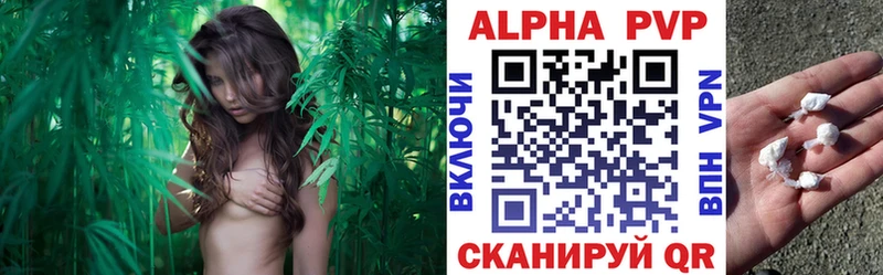 Купить закладку Елец Канабис  А ПВП  Галлюциногенные грибы  ГАШИШ 