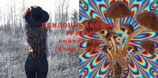 экстази Алексеевка